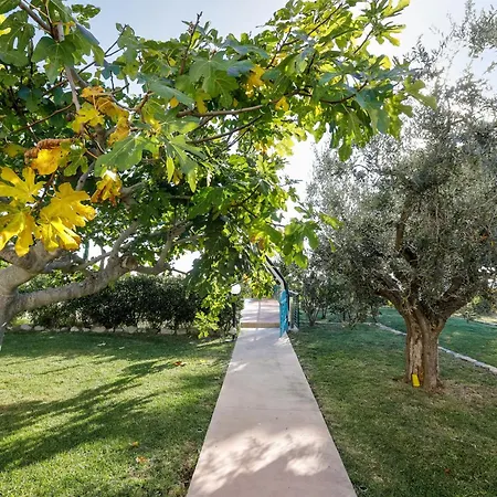 Marchetti Cupra Marittima