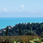 Marchetti *