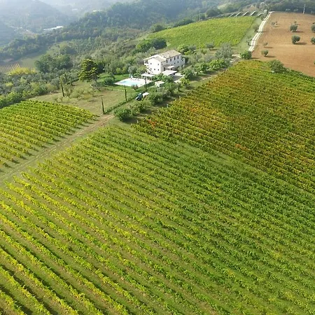 Marchetti Cupra Marittima